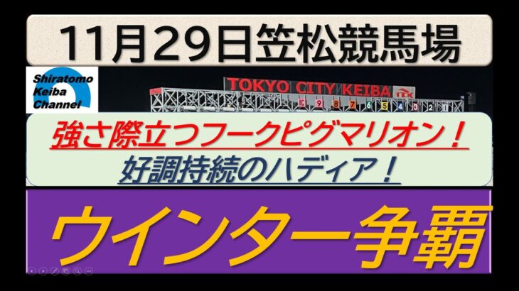 【競馬予想】ウインター争覇！～２０２４年１１月２９日 笠松競馬場 ：１１－９