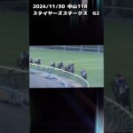 ステイヤーズステークス　もちおの当たらない予想　#競馬 #競馬予想　#競馬予想動画 #ステイヤーズステークス #アイアンバローズ