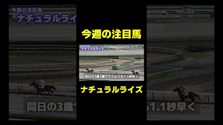 来年のダートクラシック最有力候補 ナチュラルライズ 　#競馬 #競馬予想 #ジャパンカップ #京阪杯