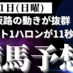 【競馬予想】１２月１日（日曜）平場勝負レース該当馬７レース！最終追い切りで坂路の動きが抜群の馬をチョイス（人気しそうですがｗ）