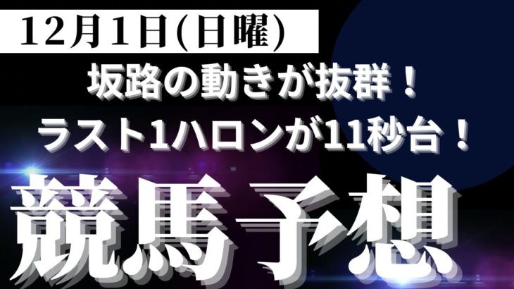 【競馬予想】１２月１日（日曜）平場勝負レース該当馬７レース！最終追い切りで坂路の動きが抜群の馬をチョイス（人気しそうですがｗ）