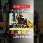 #競馬 #競馬予想 #ジャパンカップ#チェルヴィニア