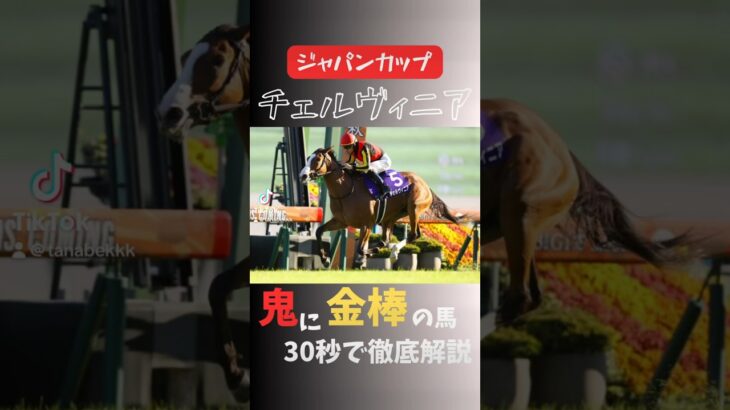 #競馬 #競馬予想 #ジャパンカップ#チェルヴィニア