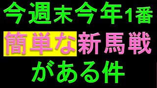 【新馬予想】今年一番自信をもって推奨できる新馬戦