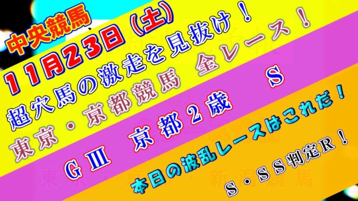 【競馬予想】競馬波乱予報　１１月２３日（土）　中央競馬＆地方競馬　全レース予想！