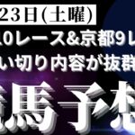 【競馬予想】１１月２３日（土曜）平場勝負レース該当馬６レース！東京１０レース＆京都９レースは追い切り内容が抜群！