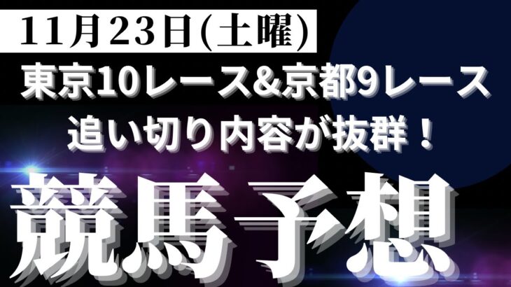 【競馬予想】１１月２３日（土曜）平場勝負レース該当馬６レース！東京１０レース＆京都９レースは追い切り内容が抜群！