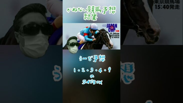 かねない競馬予想【ジャパンカップ】結果