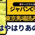 ２０２４年　ジャパンカップ予想【やっぱり本命はあの馬？】