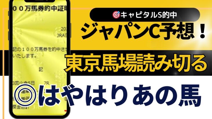 ２０２４年　ジャパンカップ予想【やっぱり本命はあの馬？】