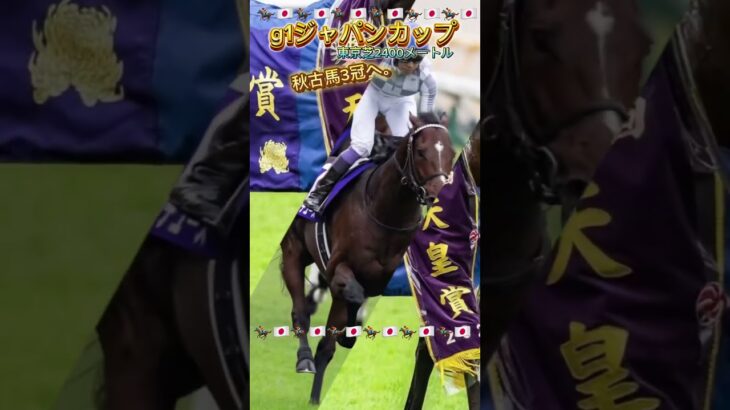 #ジャパンカップ #ドウデュース #秋古馬三冠 #競馬 #競馬予想 #vlog #競馬場 #重賞