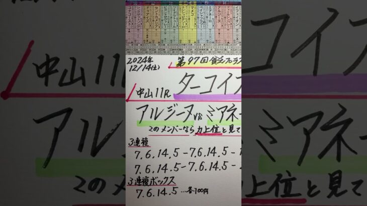 【競馬予想】中山11R ターコイズステークス🏇ハンデ少し有利か🧐‼️