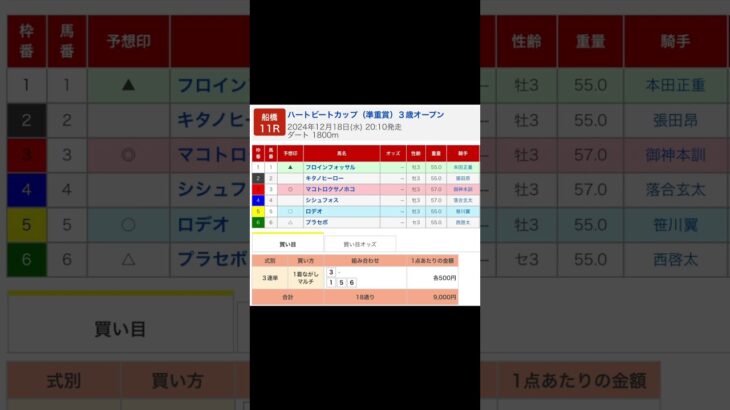 船橋競馬場 メインレース ハートビートカップ（準重賞） を予想します #競馬 #予想 #競馬予想 #買い目 #船橋11r #船橋競馬 #船橋競馬場 #地方競馬 #メインレース #馬 #shorts