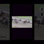 【競馬】少額でも大きく勝てる？＃競馬＃競馬予想＃中京12レース