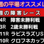 [平場オススメレースと障害レースの予想]12月1日日曜日版 障害未勝利戦　ラピスラズリステークス　クロフネカップ　2歳未勝利戦