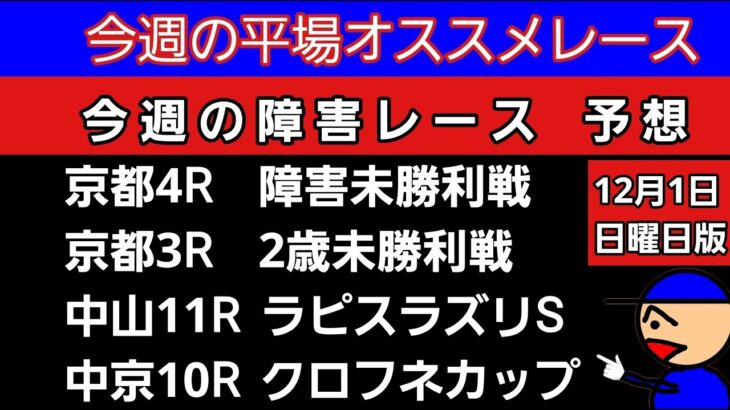 [平場オススメレースと障害レースの予想]12月1日日曜日版 障害未勝利戦　ラピスラズリステークス　クロフネカップ　2歳未勝利戦