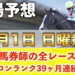 【12月1日日曜競馬予想】土曜も的中◉想定11番人気を狙い撃つ‼️プロが平場全レース予想を無料公開！【平場予想】