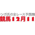 12月11日園田競馬【全レース予想】2024近畿畜産特別