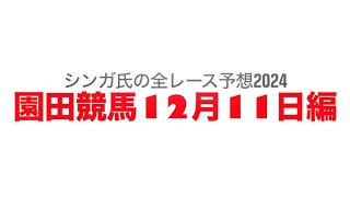 12月11日園田競馬【全レース予想】2024近畿畜産特別