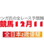 12月11日川崎競馬【全レース予想】2024全日本2歳優駿