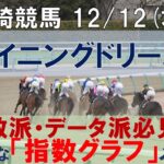 12/12(木) 川崎競馬11R【シャイニングドリーム賞】《地方競馬 指数グラフ・予想・攻略》