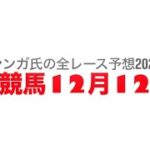 12月12日園田競馬【全レース予想】2024YJSファイナルラウンド園田