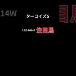 ターコイズステークス、12/14Win5注目馬#競馬 #競馬予想 #競馬初心者 #win5予想 #win5 #ターコイズステークス