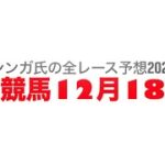 12月18日船橋競馬【全レース予想】2024ハートビートカップ