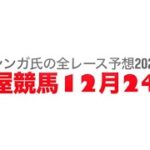 12月24日名古屋競馬【全レース予想】2024鰡特別