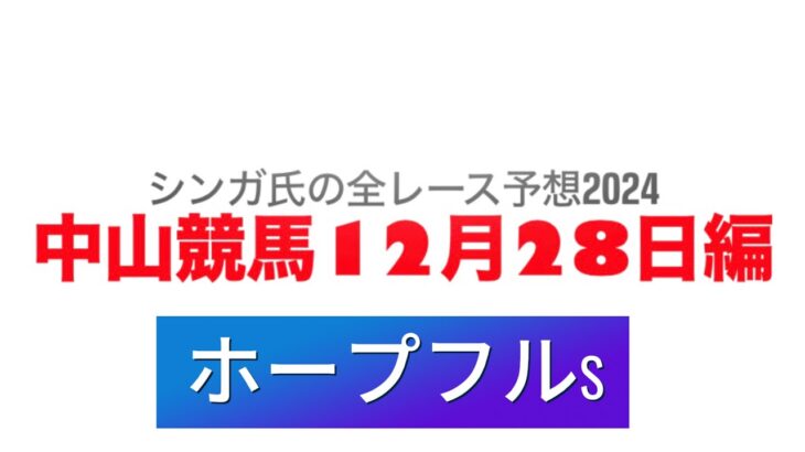 12月28日中山競馬【全レース予想】2024ホープフルS