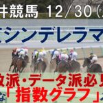 12/30(月) 大井競馬10R【東京シンデレラマイル】《地方競馬 指数グラフ・予想・攻略》