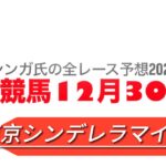 12月30日大井競馬【全レース予想】2024東京シンデレラマイル競走