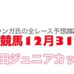 12月31日園田競馬【全レース予想】2024園田ジュニアカップ