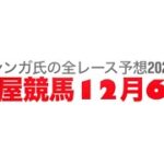 12月6日名古屋競馬【全レース予想】2024丹頂特別