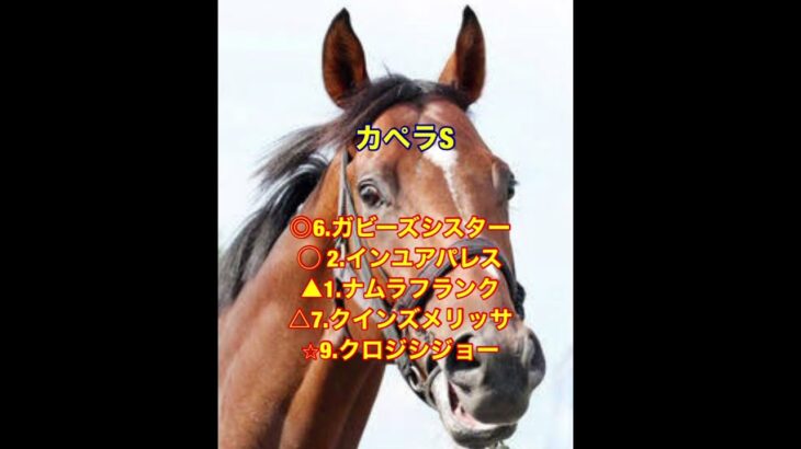 12/7.8 #重賞予想 #阪神jf #ゆきさん#中日新聞杯 #カペラステークス #競馬 #競馬予想 #大谷翔平 #g1 #戒厳令