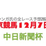 12月7日中京競馬【全レース予想】2024中日新聞杯