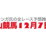 12月7日中山競馬【全レース予想】2024常総S