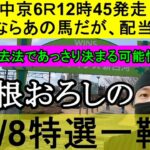 【競馬予想】12月8日の特選一鞍【大根おろし】