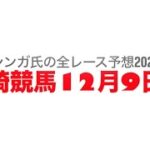 12月9日川崎競馬【全レース予想】2024風花特別