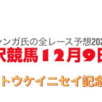 12月9日水沢競馬【全レース予想】2024トウケイニセイ記念