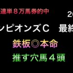 【競馬予想】　チャンピオンズカップ　2024  最終予想