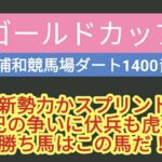 2024年 ゴールドカップの予想動画です。地方競馬の予想はお任せください。