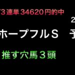 【競馬予想】　ホープフルステークス　2024  予想