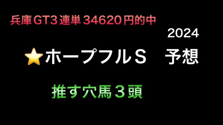 【競馬予想】　ホープフルステークス　2024  予想