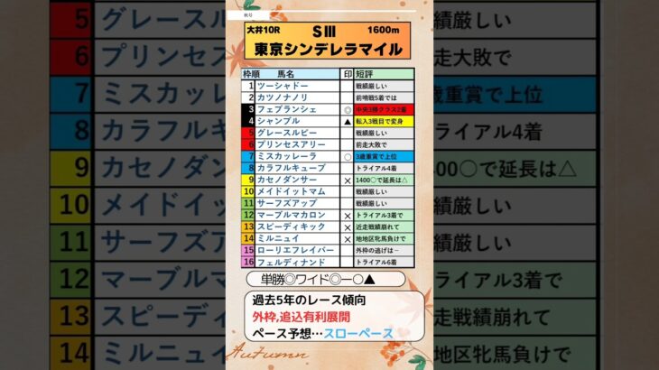 🏆東京シンデレラマイル予想🏆💮フェブランシェ💮#　#大井競馬 　#地方競馬 　#フェブランシェ 　#ミルニュイ 　#ミスカッレーラ　#東京シンデレラマイル2024 　#競馬 　#競馬予想