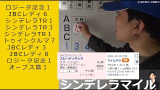 【2024シンデレラマイル】ガラスの靴は 軽いはず・・歴史通りか？ 実績着列競馬予想 東京シンデレラマイル予想 スピーディキック引退戦