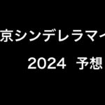 【競馬競馬】　地方重賞　東京シンデレラマイル　2024  予想