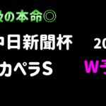 【競馬予想】　カペラステークス　中日新聞杯　2024  予想