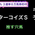 【競馬予想】　ターコイズステークス　2024  予想