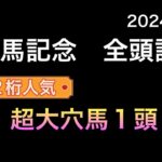 【競馬予想】　有馬記念　2024  全頭診断　事前予想